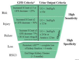 RIFLE_ACUTE RENAL FAILURE