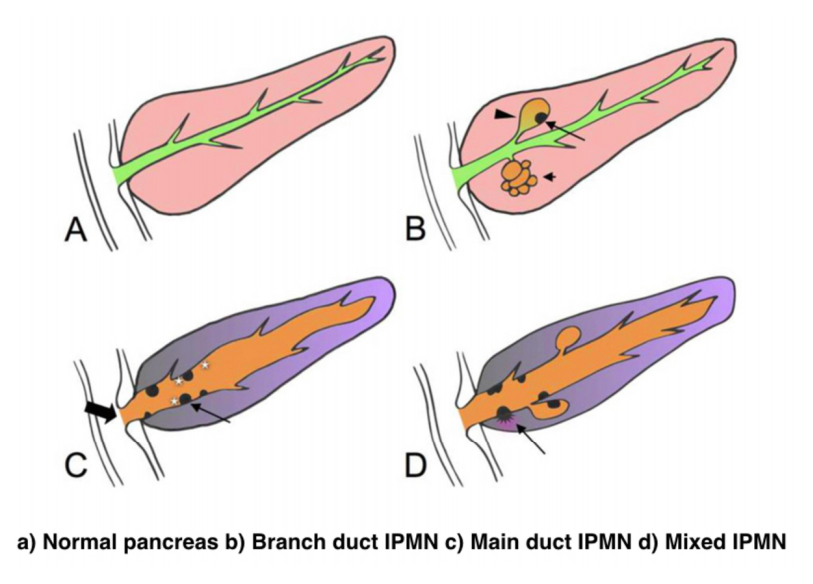 capturadetela2019-02-0107.46.31