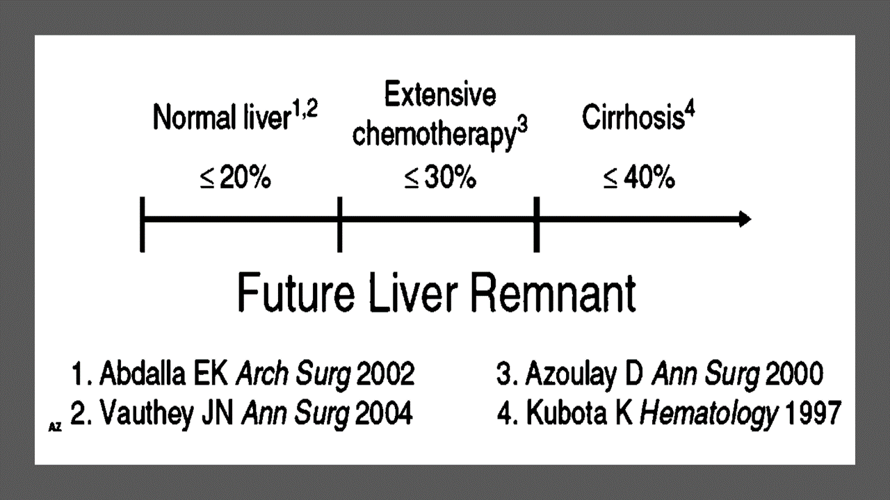 Future_Liver_Remnant_Ozimo_Gama
