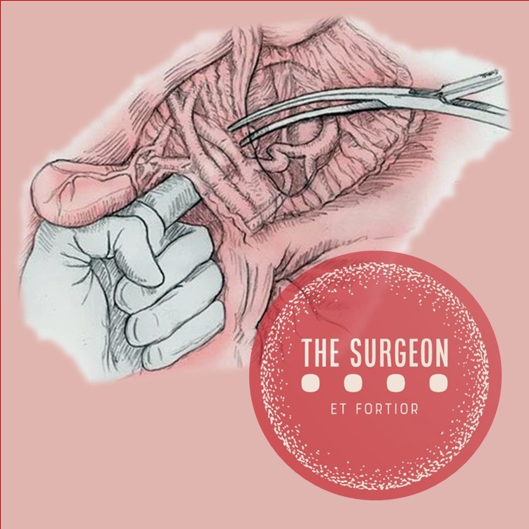 THE.SURGEON_MODELO_PRINGLE