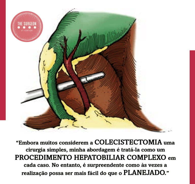 Diferenciação Morfológica do Ducto Cístico e do Ducto Colédoco no ...