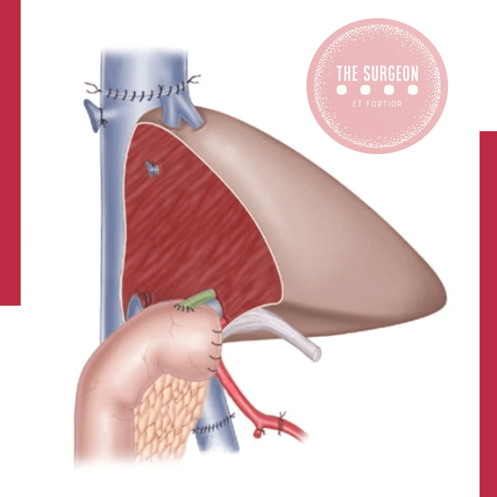 Prof. Dr. Ozimo Gama